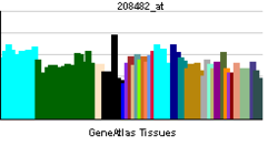 PBB GE SSTR1 208482 ĉe tn.png