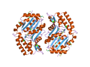 2bdu: X-Ray Structure of a Cytosolic 5'-Nucleotidase III from Mus Musculus MM.158936