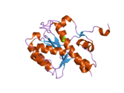 2fbx: WRN exonuclease, Mg complex