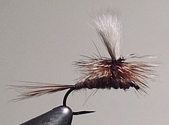 Parachute Adams dry fly