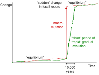 Alternative explanations for the punctuated pattern of evolution observed in the fossil record. Both macromutation and seemingly "rapid" episodes of gradual evolution could give the appearance of instantaneous change, since 10,000 years seldom registers in the geological record. Punctuated Equilibrium.svg