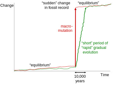 Sudden jumps with apparent gaps in the fossil record have been used as evidence for punctuated equilibrium. Such jumps can be explained either by macromutation or simply by relatively rapid episodes of gradual evolution by natural selection, since a period of say 10,000 years barely registers in the fossil record. Punctuated Equilibrium.svg