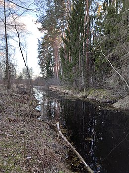 Bebru dambja appludināta Spīgas daļa netālu no iztekas