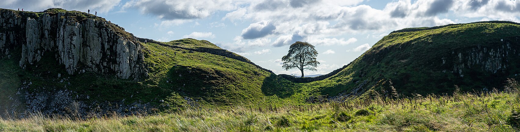 Panorama da Sycamore Gap