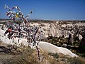 Wensboom in Cappadocia, Turkije