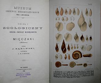 Сторінка каталогу Bąkowski J. Mięczaki (Mollusca) – Lwów: Wyd-wo Muzeum im. Dzieduszyckich, 1891. – 264 s.