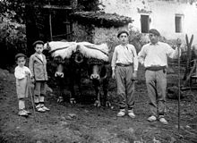 Farmers from the Basque Country 03 sendia.jpg