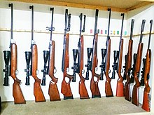 Variety of different types & models of spring piston & gas ram air guns Air rifle collection 2.jpg