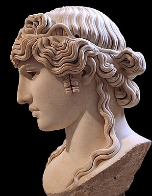 Antinous Mandragone profil