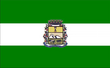 Vlag van São Joaquim