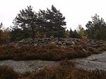 Bronsåldersröse i Bergsjön, Göteborg.