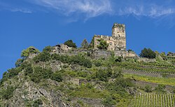 63. Platz: Bytfisch mit Burg Gutenfels über Kaub