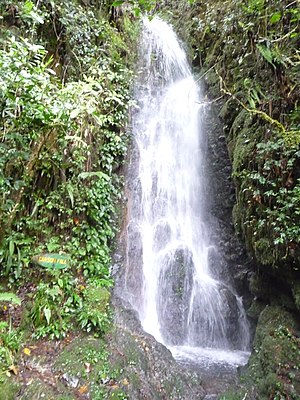 Waterfalls are example for natural resources