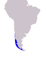 Chilean dolphin range