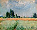 Champ de blé, Claude Monet, 1881