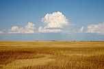 Cumulus Clouds over Yellow Prairie2.jpg