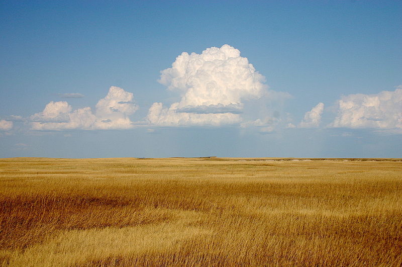 800px-Cumulus_Clouds_over_Yellow_Prairie2.jpg