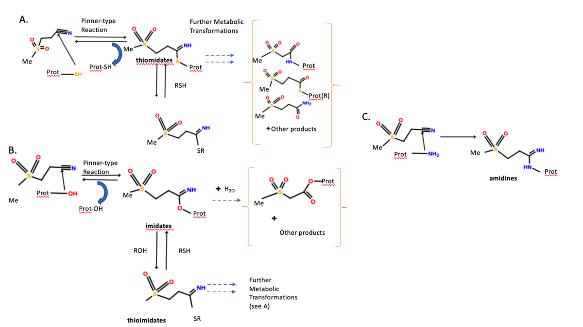 Dapansutrile Mechanism of Action. A. Reaction pathway with sulphur. B. Reaction pathway with oxygen. C. Reaction pathway with nitrogen.[12]