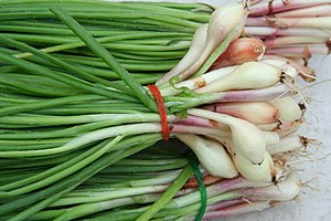 Bunches of scallions / green onions (Allium fi...