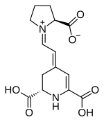 Image illustrative de l’article Indicaxanthine