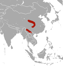 Индокитайская короткохвостая землеройка area.png