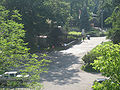 View of Potter Park Zoo from Aurelius Road