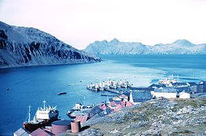 Der Leith Harbor mit der Walfangstation im Jahr 1962