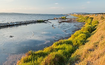 Rivage de l'étang de Thau (Occitanie). (définition réelle 5 280 × 3 300)