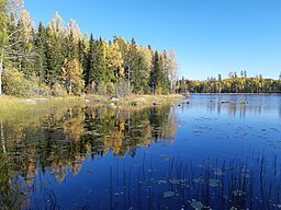 Ljustjärn norra sidan