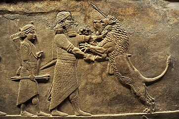 Asurbanipal matando un león (de la cacería de Asurbanipal)