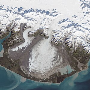 Der Agassiz-Gletscher ist der weiße Talgletscher links im Bild, der dem Malaspinagletscher zuströmt.