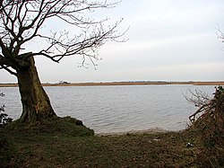 Martham Broad - the viewpoint - geograph.org.uk - 1107367.jpg