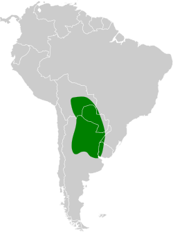 Distribución geográfica de la monterita cabecinegra.