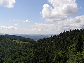 Muránska planina, Kľak, pohled JZ 01.jpg