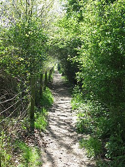 Narrow Path - geograph.org.uk - 1264489