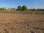 Yamazaki Shell Mound