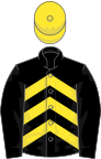 BLACK and YELLOW CHEVRONS, black sleeves, yellow cap