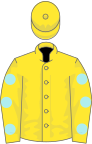 Yellow, pale blue spots on sleeves