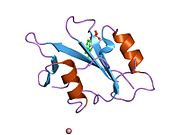 1kc2​: Struktura trostrukog -{(Lys(beta)D3Ala, Asp(beta)C8Ala, AspCD2Ala)}- mutanta -{Src SH2}- domena vezanog za -{PQpYEEIPI}- peptid