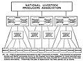 Plan of Organization for National Livestock Producers Association by Randall (1), 1928