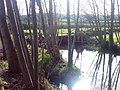 Río Toxa ao seu paso por Graba