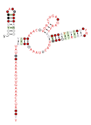 RAGATH-34 Secondary structure taken from the Rfam database. Family RF03103