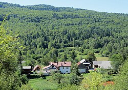 pogled na Rapljevo