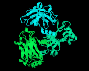 Черный фон со сложной ленточной диаграммой белка, окрашенный в синий цвет сверху, зеленый снизу.