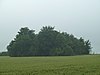 Tumulus de Noville à Momalle (M) et ensemble formé par ce tumulus et la parcelle sur laquelle il se trouve (S) (+ REMICOURT/Noville)