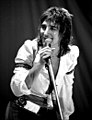 Image 32Singer Rod Stewart performing in 1976. He was one of the major British soft rock artists of the 1970s (from 1970s in music)