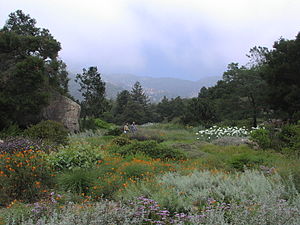 English: Santa Barbara Botanic Garden