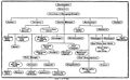 Staff Organisation Diagram by Lewis, J. Slater, 1896