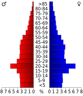 Bevolkingspiramide Pitt County