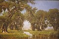 On the Cache la Poudre River, 1871